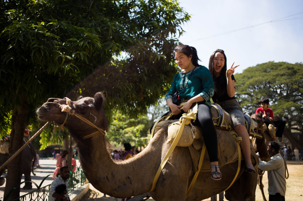 Angie Ngo and Rafy Choi on a camel just beside the palace